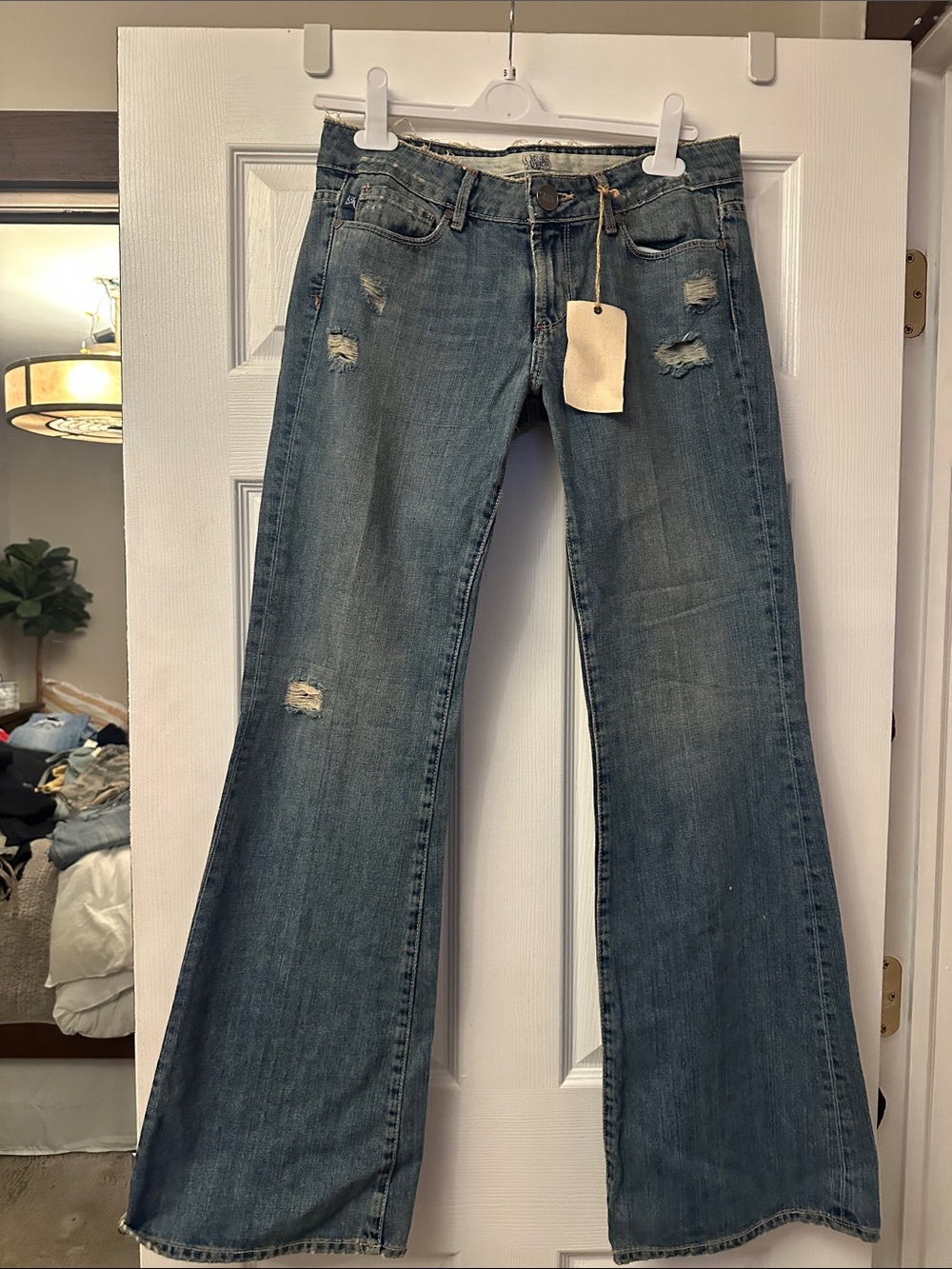 NWT City of Angels Jeans Viper